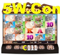 Sinta a adrenalina dos jogos de cassino com C111